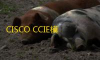 CISCO CCIE模拟器